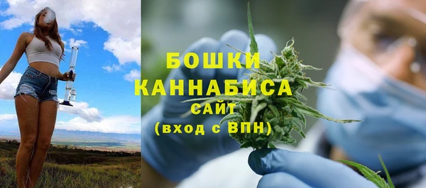 стаф Кулебаки