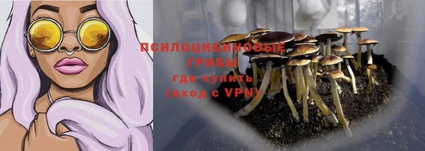крисы Кукмор
