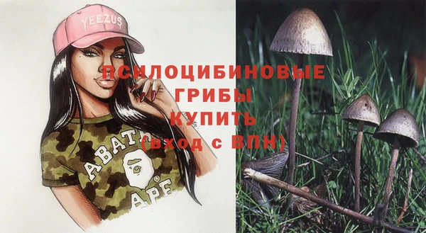 крисы Кукмор