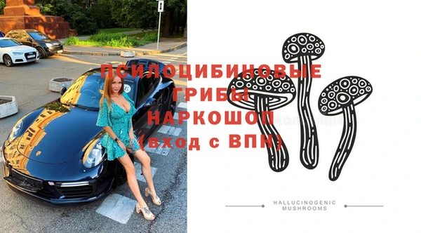 стаф Кулебаки