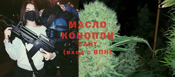 стаф Кулебаки
