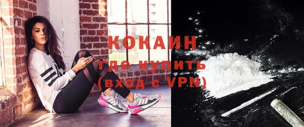 стаф Кулебаки