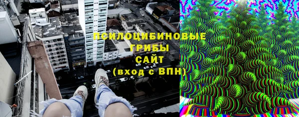 стаф Кулебаки